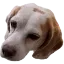 Beaglecraft Logo