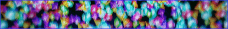 Blue Network banner